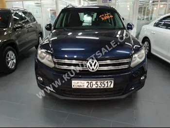 Volkswagen  TIGUAN  2013  130,000  SUV  Automatic  4  Cloth  FWD  Blue  Gasoline