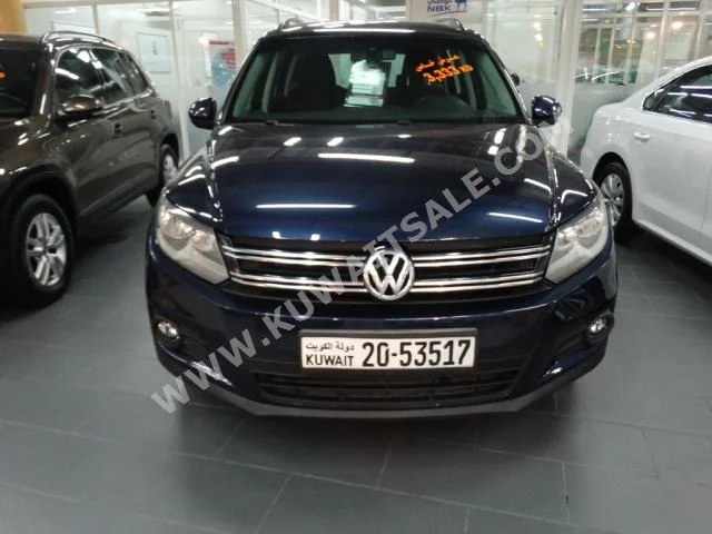 Volkswagen  TIGUAN  2013  130,000  SUV  Automatic  4  Cloth  FWD  Blue  Gasoline