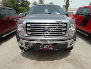 فورد  150  أف  2013  66,000  بيكب  اتوماتك  8  جلد  دفع رباعي  رمادي  بنزين