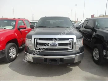 Ford  150  F  2013  100,000  Pick Up  Automatic  8  Cloth  4WD  Black  Gasoline