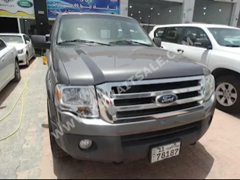 Ford  Expedition  2013  99,000  SUV  Automatic  6  Cloth  RWD  Gray  Gasoline