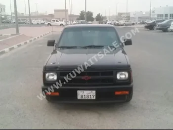 شفروليه  بيكب  1991  0  بيكب  عادي  8  جلد  دفع خلفي  أسود  بنزين