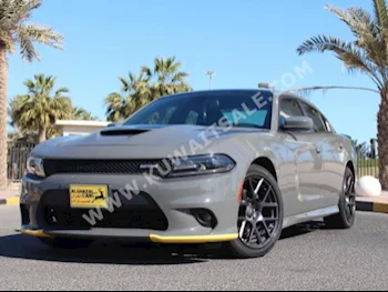 Dodge  Charger  2017  2,000  Sedan  Automatic  8  Leather/Chamois  RWD  Dark Gray  Gasoline