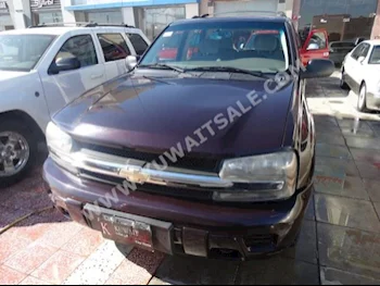 Chevrolet  TrailBlazer  2009  170,000  SUV  Automatic  6  Cloth  RWD  Purple  Gasoline