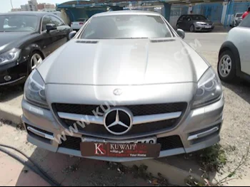 Mercedes-Benz  250  SLK-Class  2013  18,000  Sedan  Automatic  4  Leather  RWD  Gray  Gasoline