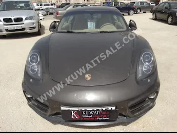 Porsche  Cayman  2014  46,000  Coupe / Sport  Automatic  6  Leather  RWD  Gray  Gasoline