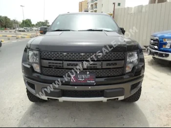 فورد  رابتر  2013  43,000  بيكب  اتوماتك  8  جلد  دفع رباعي  أسود  بنزين