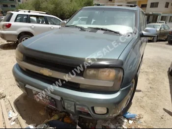 Chevrolet  TrailBlazer  2009  190,000  SUV  Automatic  6  Leather  RWD  Green  Gasoline