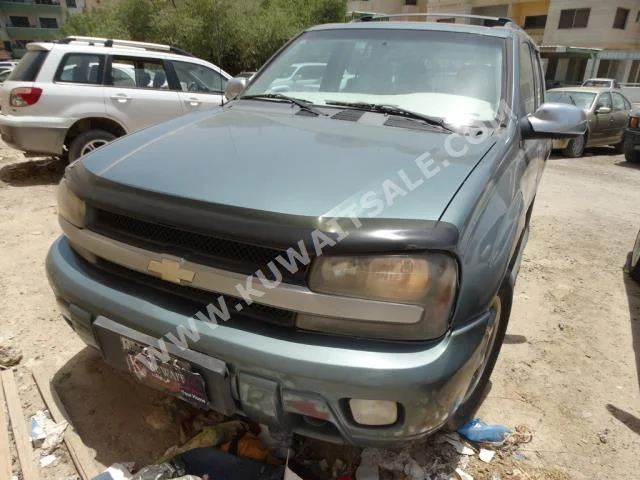 Chevrolet  TrailBlazer  2009  190,000  SUV  Automatic  6  Leather  RWD  Green  Gasoline