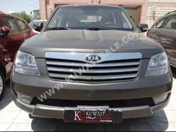 Kia  Mohave  2011  109,000  SUV  Automatic  6  Cloth  4WD  Gray  Gasoline