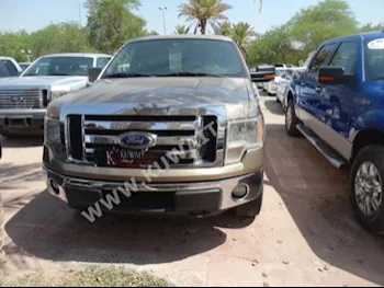 Ford  150  F  2011  96,000  Pick Up  Automatic  8  Cloth  4WD  Gold  Gasoline