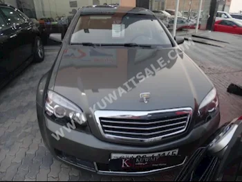 Chevrolet  Royal  Caprice  2013  35,000  Sedan  Automatic  8  Leather  RWD  Gray  Gasoline