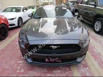 Ford  GT  Mustang  2016  19,000  Coupe / Sport  Automatic  8  Leather  RWD  Black  Gasoline
