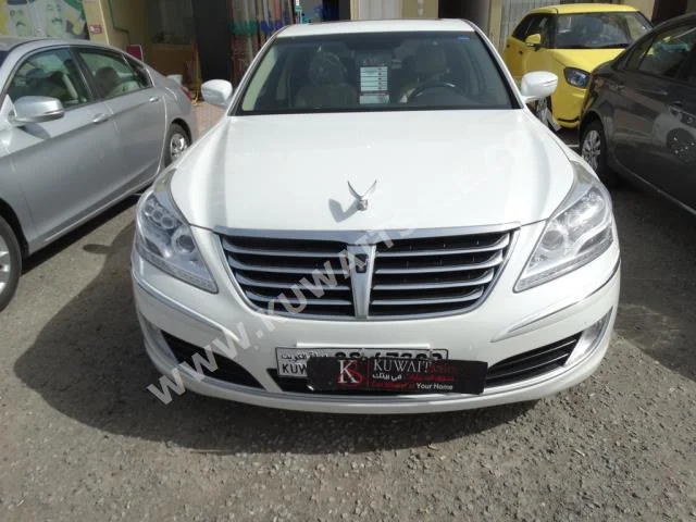 Hyundai  Centennial  2013  49,000  Sedan  Automatic  6  Leather  RWD  White  Gasoline