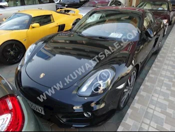 Porsche  Cayman S  Cayman  2014  17,000  Coupe / Sport  Automatic  6  Leather  RWD  Black  Gasoline